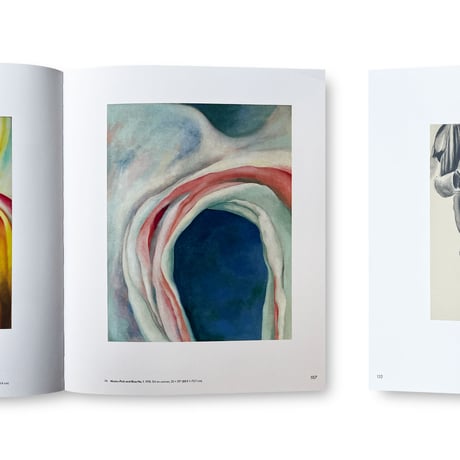 Georgia O'Keeffe / To See Takes Time