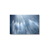 Rinko Kawauchi /【4%-39】Untitled from 4% Postcard