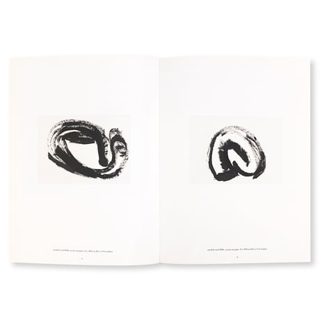 Phyllida Barlow / Fifty Years of Drawing