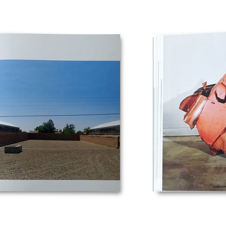 David Raskin / Donald Judd