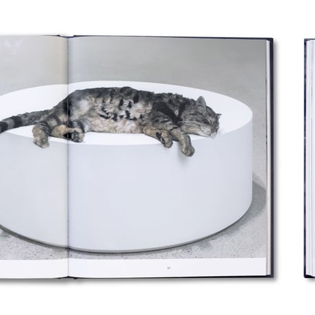 Ryan Gander / The Rates of Change 변화율