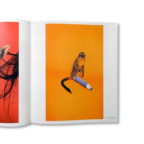 Ryan Mcginley / BODY LOUD!