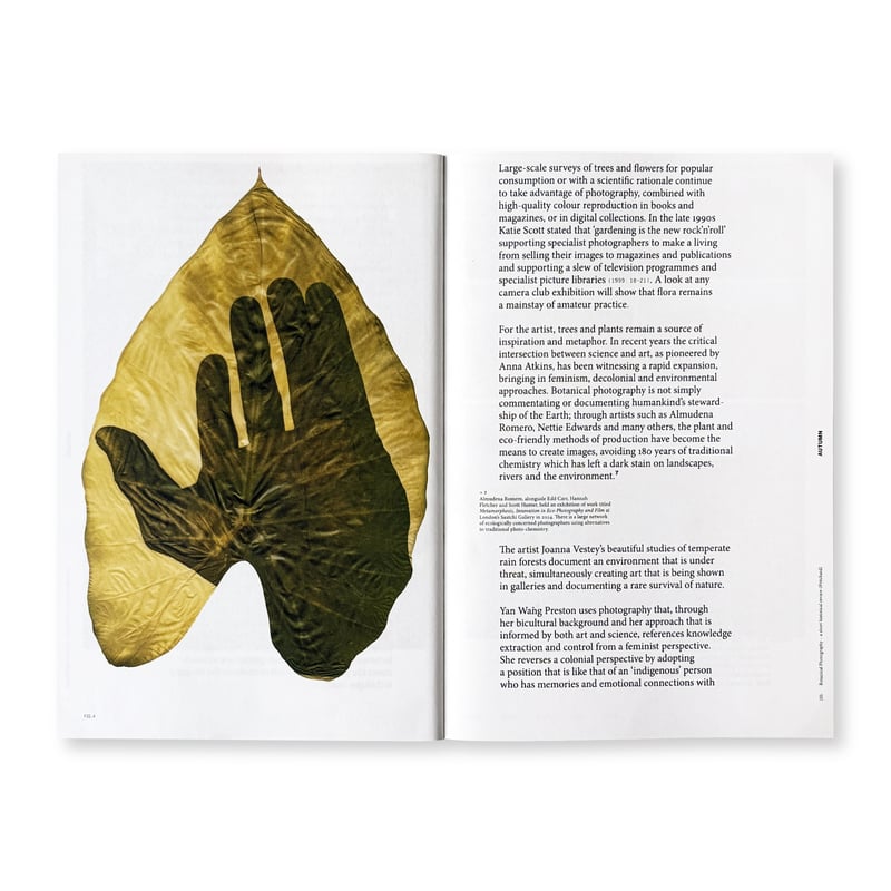 The enchanted peaks チェリー　yan座　yangraver Yan Wang Preston / With love | Gallery 5