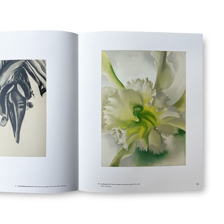 Georgia O'Keeffe / To See Takes Time