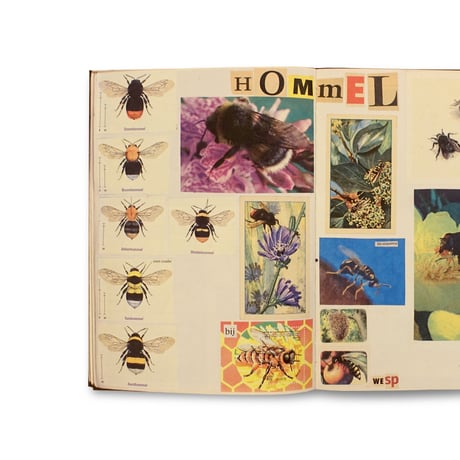 Lous Martens / Animal Books For (Reprint/ New Cover)