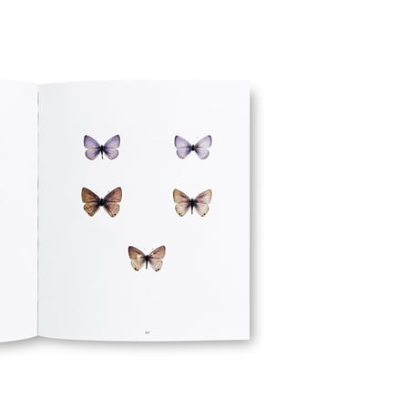 Hiromasa Iwasaki / NO-RECORD-FOUND CERTIFICATE – 759 Insects –