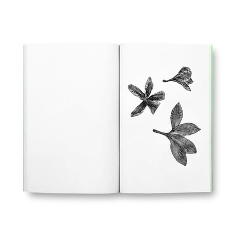 Jamie Yeo / Plant Scans