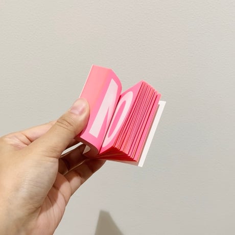 Matěj Hanauer / Pocket Decision Book