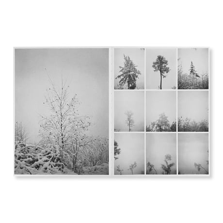 Bas Ketelaars / Edges of Landscape