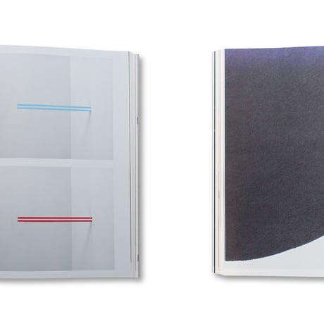 Fleur van Dodewaard / The Fold
