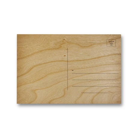 Jenny Holzer / Private Property Created Crime Wooden Postcard