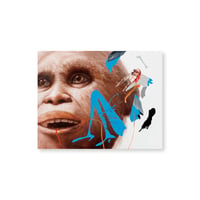 Kei Imazu / 【14】Flores erectus and Leptoptilos robustus Postcard