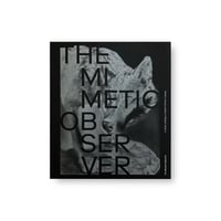 The Mimetic Observer. A Visual Reading on Dante’s Divine Comedy