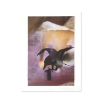 Stephen Gill / Magnificent Failure - Large Poster