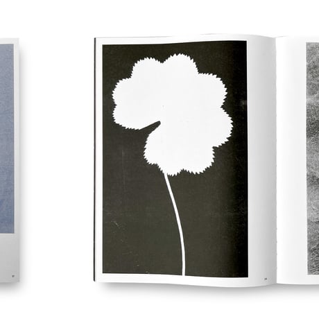 Herma de Wit / Essence of Nature