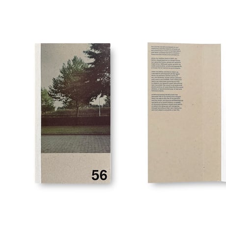 Ton Grote / Eindhovenseweg 56