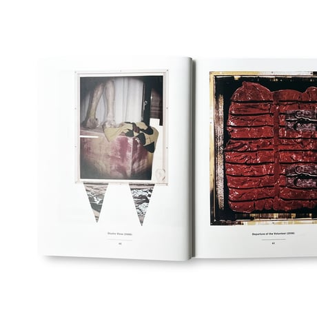 Rosemarie Trockel / Flagrant Delight