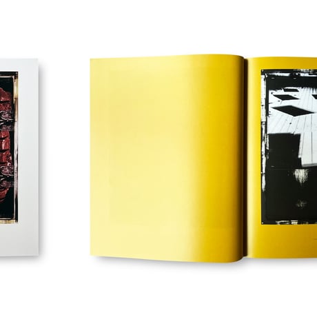 Rosemarie Trockel / Flagrant Delight