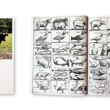 Jens Hoffmann / Animality