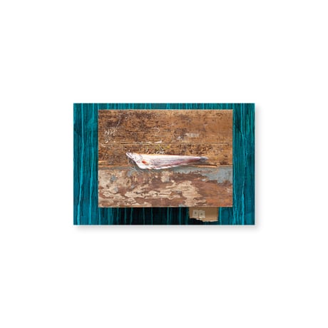 Kei Imazu / 【B-9】Lost Fish Postcard