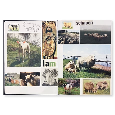 Lous Martens / Animal Books for Jaap, Zeno, Anna, Julian & Luca (new edition)