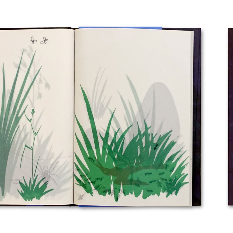 BRUNO MUNARI ブルーノムナーリ ブルーノ・ムナーリの通販 | 家具・インテリア通販 MAARKET