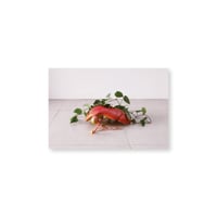 Kei Imazu / 【A-1】Liver Postcard