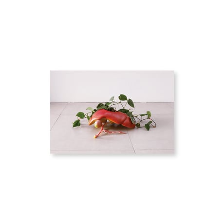 Kei Imazu / 【A-1】Liver Postcard