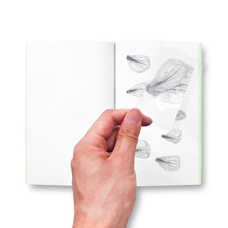 Jamie Yeo / Plant Scans