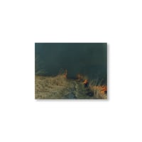 Rinko Kawauchi / 【あめつち-43】Untitled from あめつち Postcard