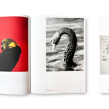 Jens Hoffmann / Animality