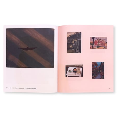 Peter Shear / ACCIDENT REPORT