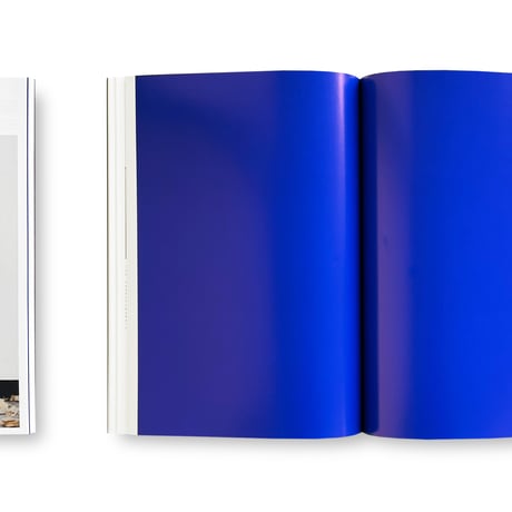 Ryan Gander / A Melted Snowman