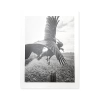 Stephen Gill / The Pillar - Large Poster