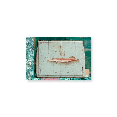 Kei Imazu / 【B-12】Lost Fish Postcard