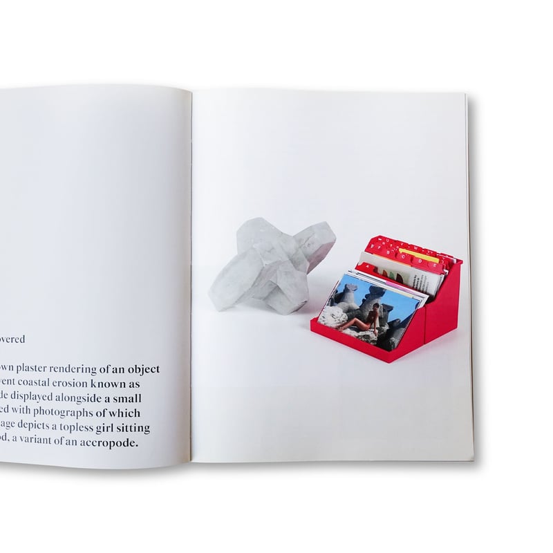 Ryan Gander / Fieldwork, The Complete Reader |