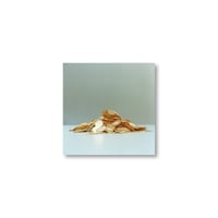 Rinko Kawauchi / 【6×6-29】Untitled from 6×6 Postcard
