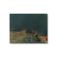 Rinko Kawauchi / 【あめつち-7】Untitled from あめつち Poster