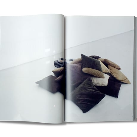 Ryan Gander / Culturefield