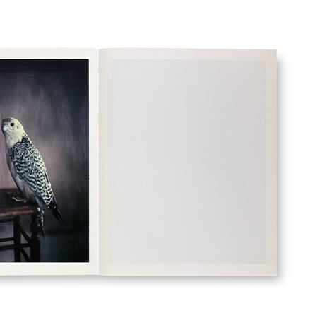 Paolo Roversi / Des oiseaux