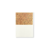 ノートブック / 線の展開