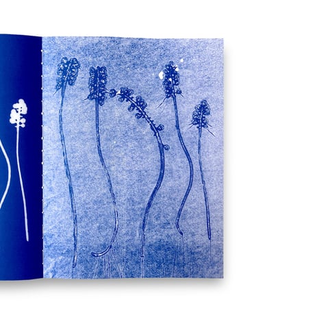 Herma de Wit / Essence of Nature
