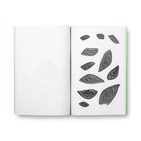 Jamie Yeo / Plant Scans