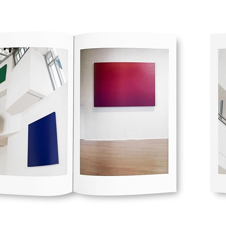 Ellsworth Kelly / Les Cahiers