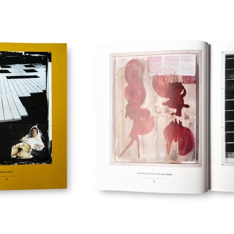 Rosemarie Trockel / Flagrant Delight