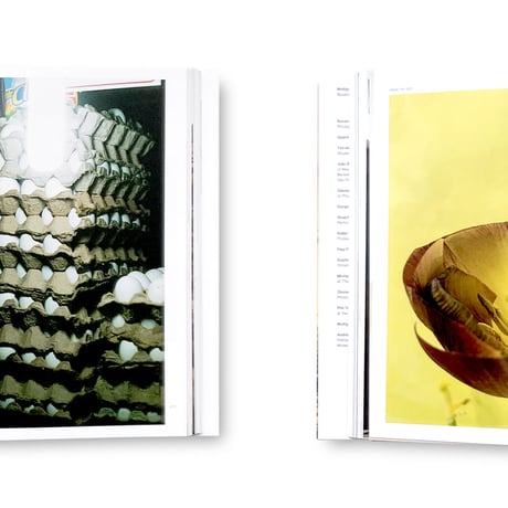 Wolfgang Tillmans / To Look Without Fear