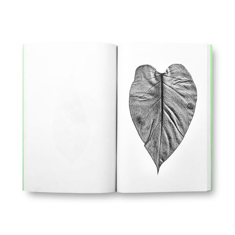 Jamie Yeo / Plant Scans