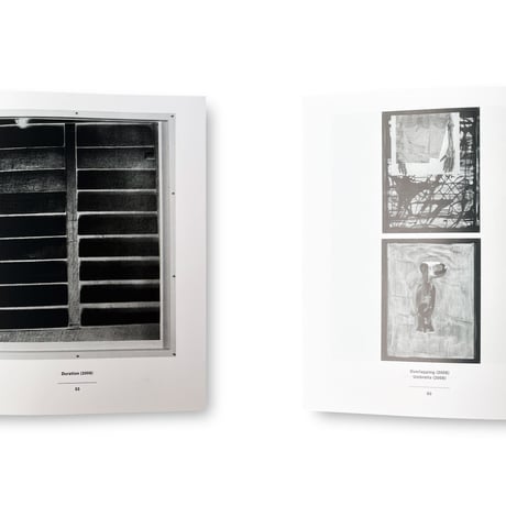 Rosemarie Trockel / Flagrant Delight