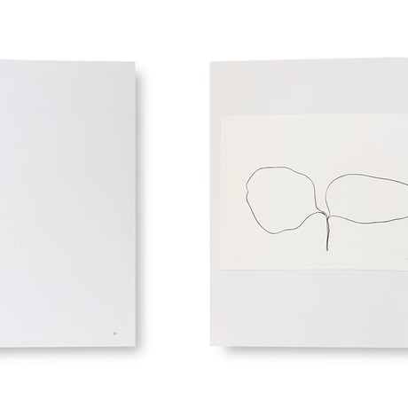 Ellsworth Kelly / Plant Lithographs