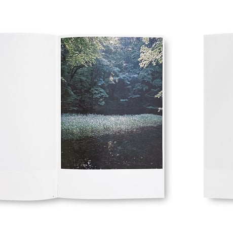 Akiko Kimura / i